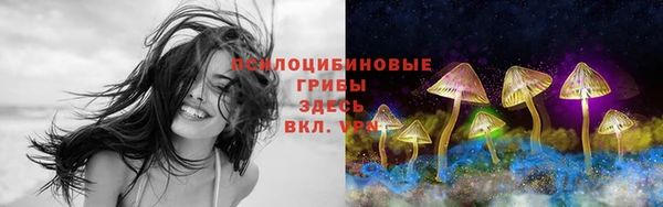 спиды Нефтекумск