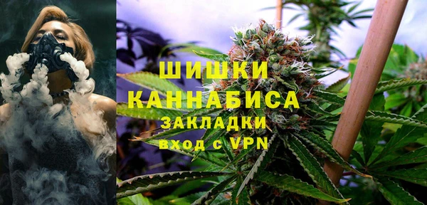 Альфа ПВП Аркадак