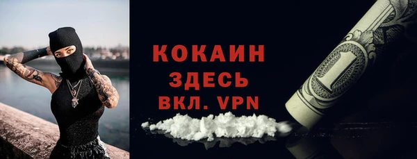 Альфа ПВП Аркадак